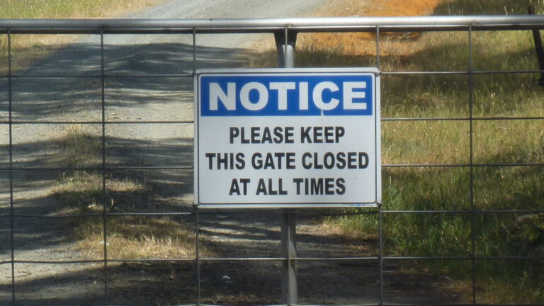 Make sure the gate is shut behind you as there may be animals in the paddock